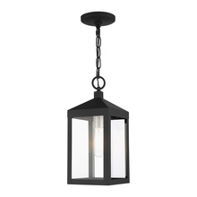  20591-04 - 1 Lt Black Outdoor Pendant Lantern