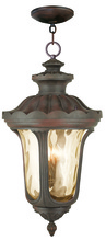  76703-58 - 4 Light IB Outdoor Chain Lantern