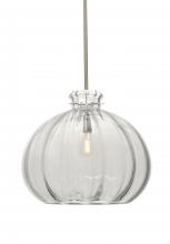  1TT-464588-EDIL-SN - Besa Stem Pendant Pinta 12 Clear Satin Nickel 1x8W LED Filament