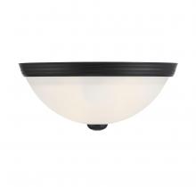  6-780-11-BK - 2-Light Ceiling Light in Matte Black