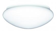  G924 - 11-1/4IN OPAL MUSHROOM 10IN FITTER