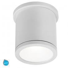  FM-W2605-WT - TUBE Outdoor Flush Mount Light