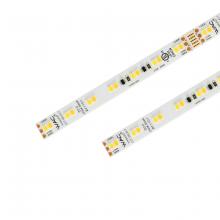  T24-CS10-10-2750WT - InvisiLED® CCT - Color Temperature Adjustable LED Tape