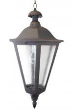  1271 - Avanti 1200 Series Hanging Model 1271 Large Outdoor Wall Lantern