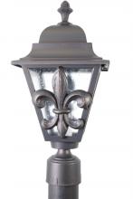  FL1770 - Americana Collection Fleur De Lis Series Model FL1770 Medium Outdoor Wall Lantern