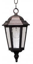  K2131 - Kiss Lighting K2100 Series Hanging Model K2131 Small Outdoor Wall Lantern