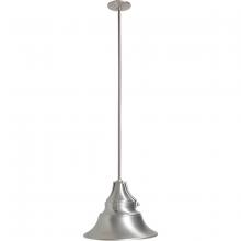  Z4421-SA - Union 1 Light Large Outdoor Pendant in Satin Aluminum