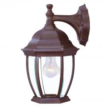  5035BW - Wexford Collection Wall-Mount 1-Light Outdoor Burled Walnut Light Fixture