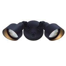  LFL2ABZ - LED Floodlights Collection 2-Light Outdoor Architectural Bronze Light Fixture