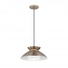  FSN-4187-OPAL-BRSS - Noreen 14" 1-Light Pendant