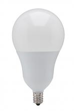  S21802 - 6 Watt; A19 LED; 4000K; Candelabra base; 220 deg. Beam Angle; 120 Volt