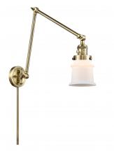  238-AB-G181S - Canton - 1 Light - 8 inch - Antique Brass - Swing Arm