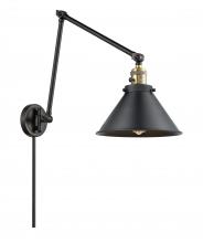  238-BAB-M10-BK - Briarcliff - 1 Light - 10 inch - Black Antique Brass - Swing Arm