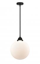  288-1S-BK-G201-12 - Beacon - 1 Light - 12 inch - Matte Black - Cord hung - Mini Pendant