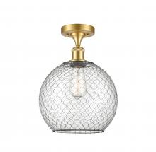  516-1C-SG-G122-10CBK - Farmhouse Chicken Wire - 1 Light - 10 inch - Satin Gold - Semi-Flush Mount