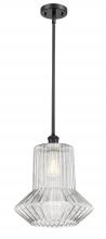  516-1S-BK-G212 - Springwater - 1 Light - 12 inch - Matte Black - Mini Pendant