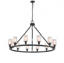  850-BK-G801 - Clymer - 12 Light - 50 inch - Matte Black - Chain Hung - Chandelier