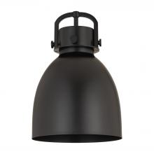  M412-10BK - Newton Bell 10 inch Shade