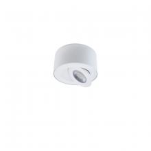  FM-W44205-40-WT - I Spy Outdoor Flush Mount Light