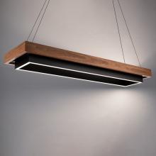  PD-70354-BK/DW - Hustler Linear Pendant