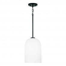  348811MB - 1-Light Pendant