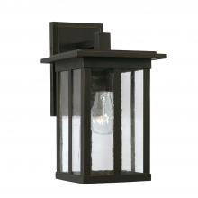  943811OZ - 1 Light Outdoor Wall Lantern