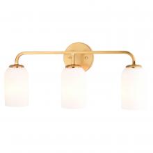  W0484 - Shelby 23-in. W 3 Light Vanity Natural Brass