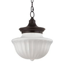  5015-OB - 2 LIGHT LARGE PENDANT