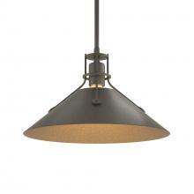  134550-SKT-MULT-20-14 - Henry Medium Steel Shade Pendant