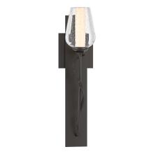  203030-SKT-14-ZS0354 - Flora Sconce