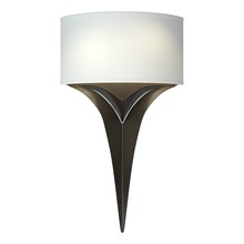  205315-SKT-14-SF1092 - Calla Sconce