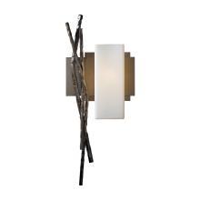 Hubbardton Forge 207670-SKT-RGT-05-GG0351 - Brindille Sconce