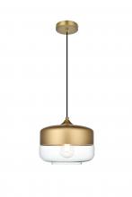  LD2243SG - Ashwell 10 Inch Pendant Clear Shade in Satin Gold