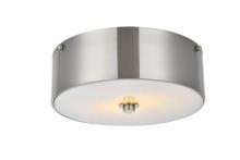  LD6025 - Hazen 2 light 12 inch Burnished Nickel flush mount