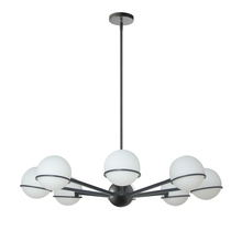  SOF-388C-MB - 8 Light Halogen Chandelier, Matte Black with White Opal Glass