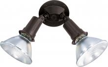  SF76/523 - 2 Light - 10" Flood Light- PAR38 with Adjustable Swivel - Bronze Finish