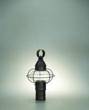  2523-DB-MED-CLR - Caged Onion Post Dark Brass Medium Base Socket Clear Glass