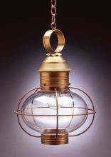  2542-DB-MED-OPT - Caged Onion Hanging Dark Brass Medium Base Socket Optic Glass