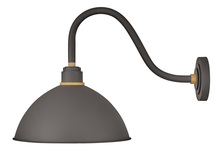  10645MR - Medium Gooseneck Barn Light